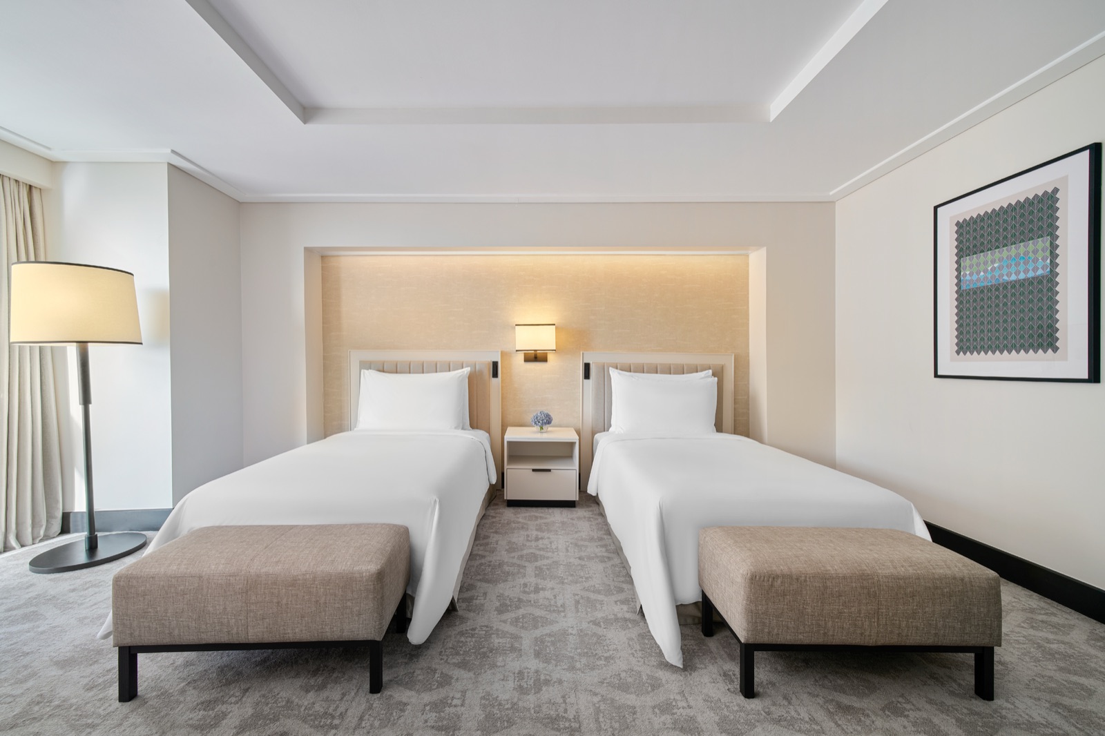 Deluxe oda, iki yataklı, şehir manzaralı